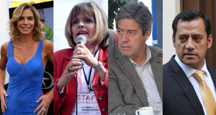 Famosos chilenos que incursionaron en la política.