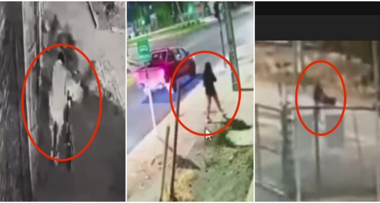 Femicidio de Michelle Silva