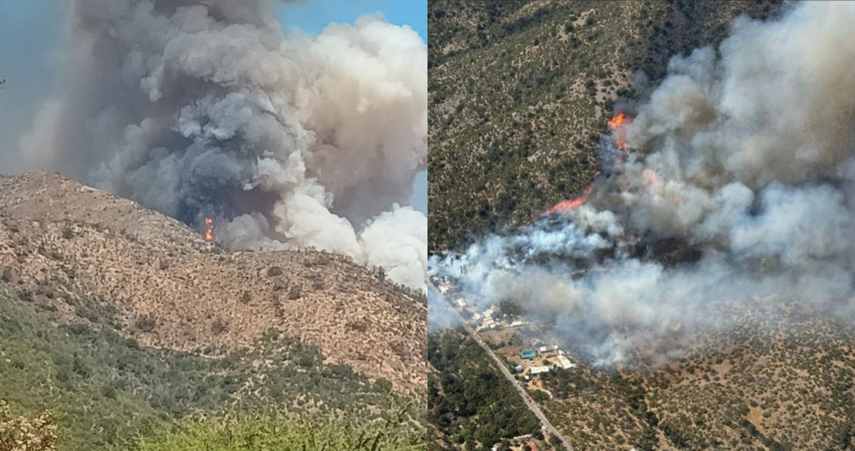 Declaran Alerta Amarilla para Quilpué por incendio forestal