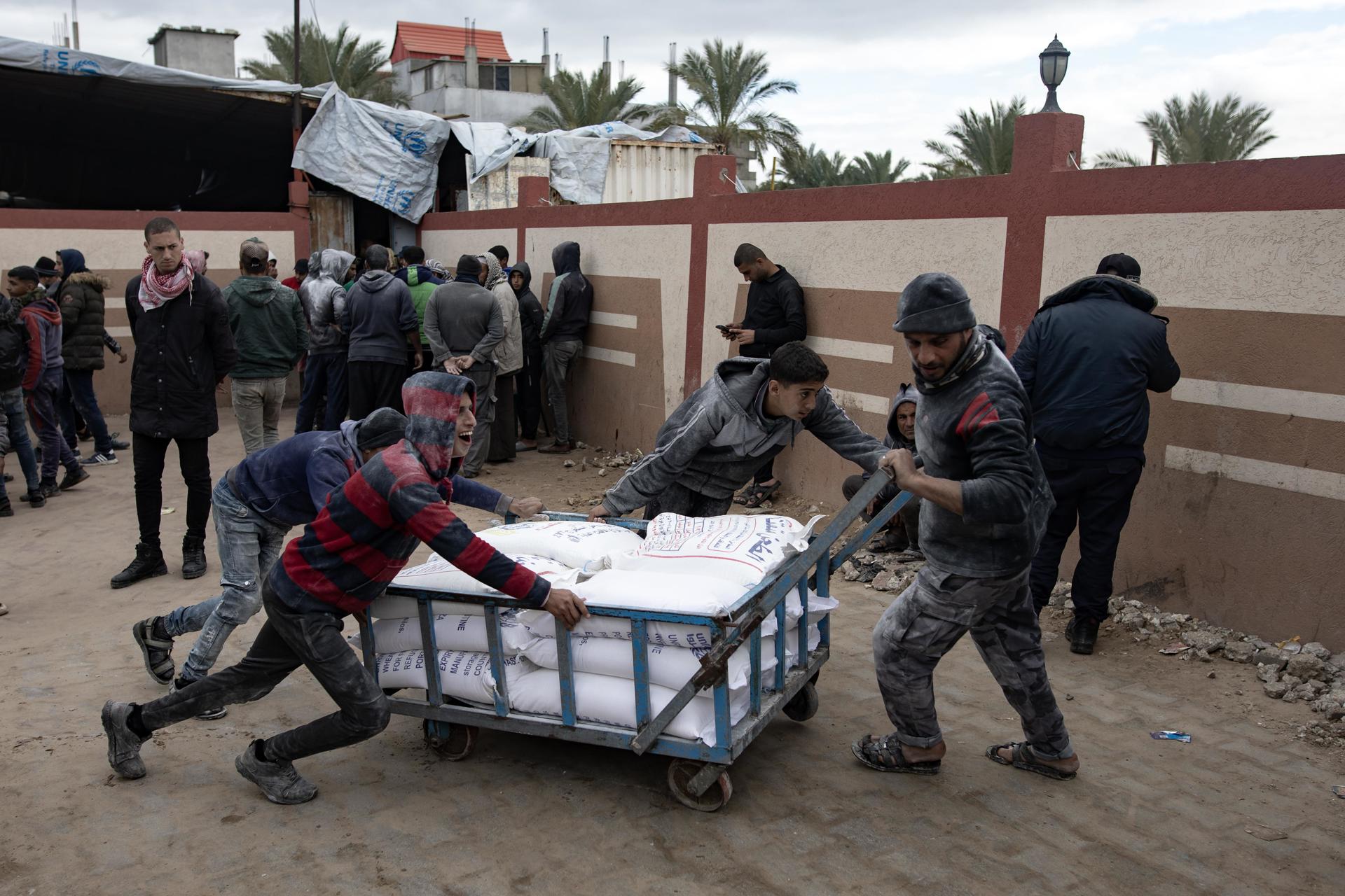 Palestinos cargan bolsas de harina distribuidas por la UNRWA en Rafah