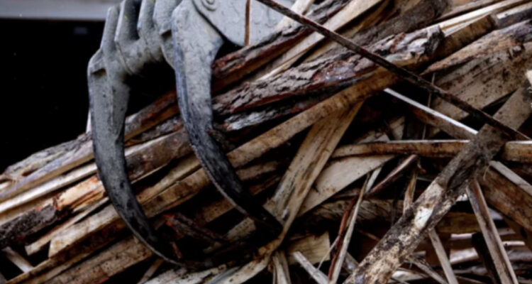 Gremios forestales del Bío Bío acusan abandono del sector por parte del Gobierno