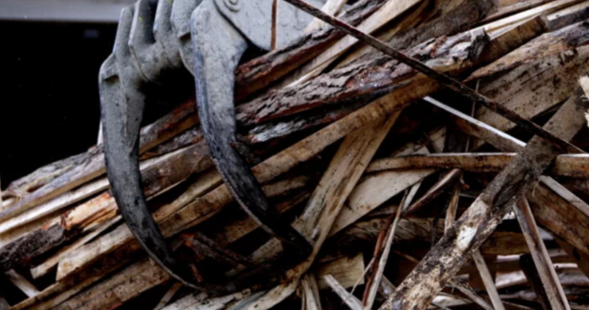 Gremios forestales del Bío Bío acusan abandono del sector por parte del Gobierno