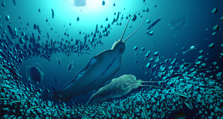 Bestias del terror: descubren enormes gusanos depredadores de hace más de 500 millones de años