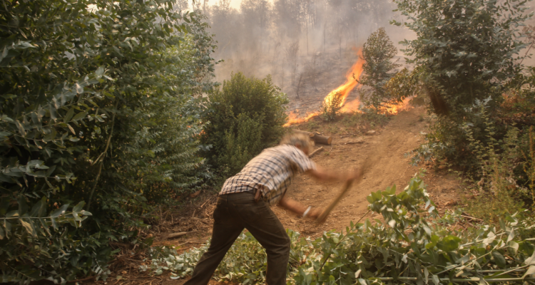 hectáreas incendios forestales