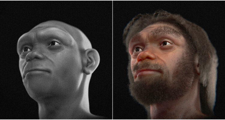 Reconstruyen por primera vez el rostro del Homo longi a partir de un cráneo de hace 148.000 años