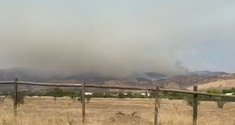 Bomberos trabaja en incendio forestal que afecta sector de Chicureo: habrían dos focos activos