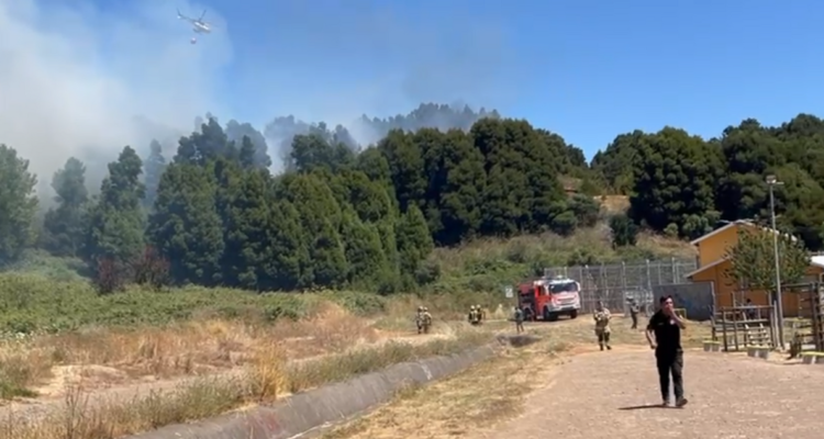 Incendio forestal afecta a Cerro Macera de Talcahuano