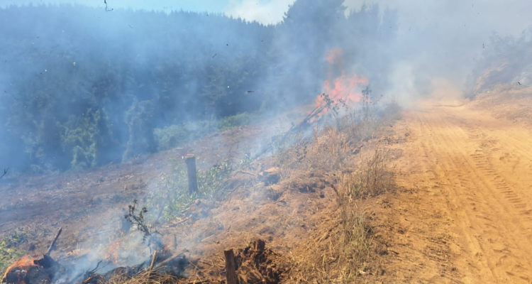 Incendio forestal en Teodoro Schmidt tras ataque de la CAM