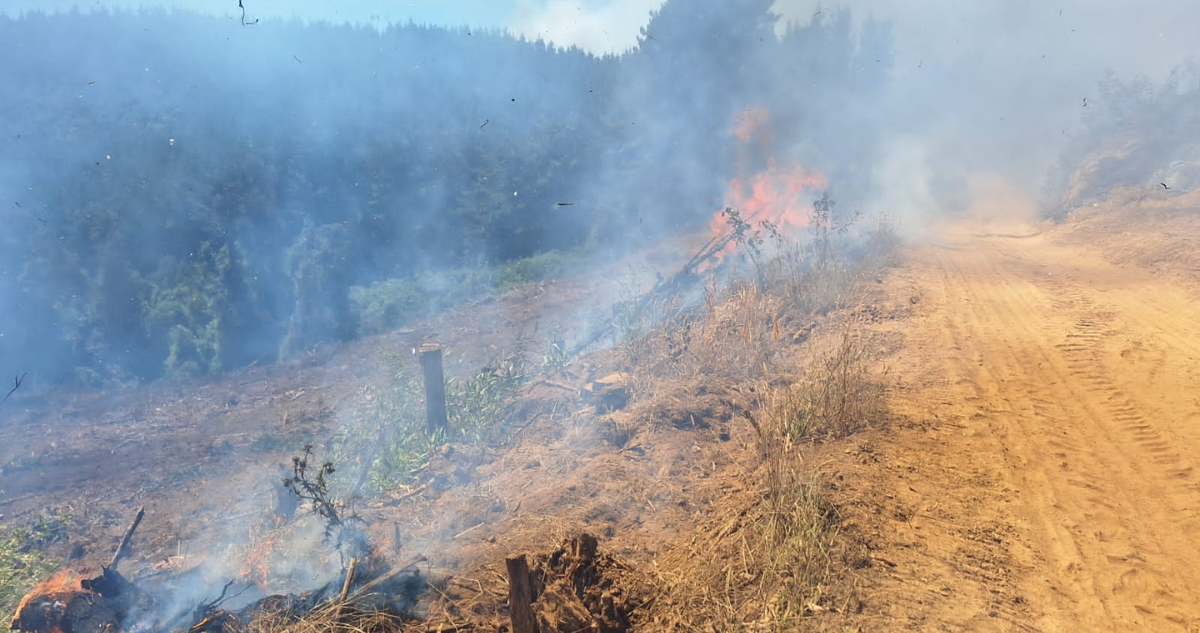 Incendio forestal en Teodoro Schmidt tras ataque de la CAM