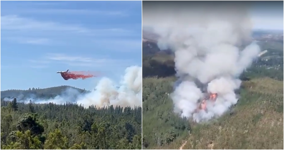 Incendio forestal en Florida
