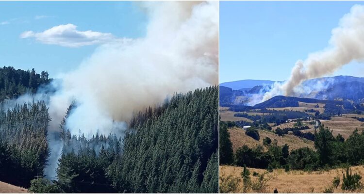 Incendio forestal en San Pablo