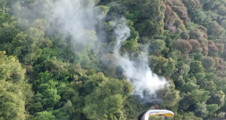 Declaran Alerta Roja en Chaitén por incendio que amenaza al Parque Nacional Pumalín