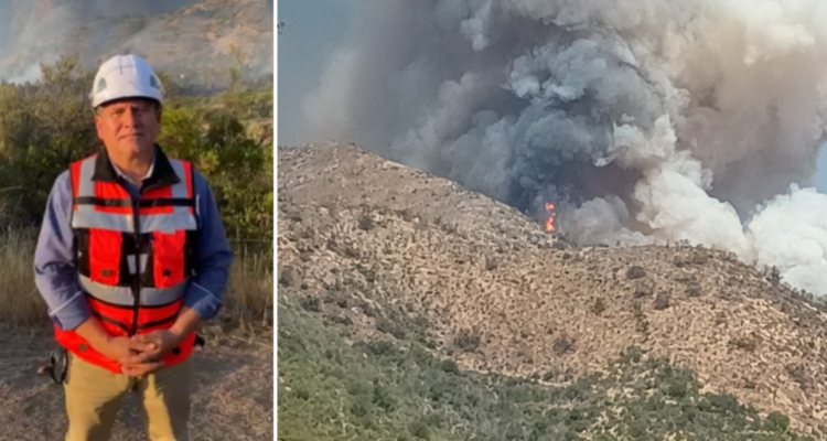 Delegado de Marga Marga adjudica incendio forestal de Quilpué a “negligencia”: hay un detenido