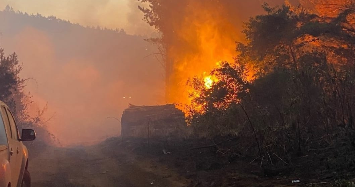 Imagen de incendio forestal en Teodoro Schmidt originado por ataque incendiario de la CAM
