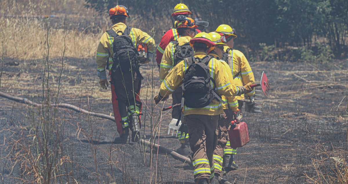 Incendio forestal en Maule ha consumido sobre 500 hectáreas y obliga a evacuar a más de 100 personas