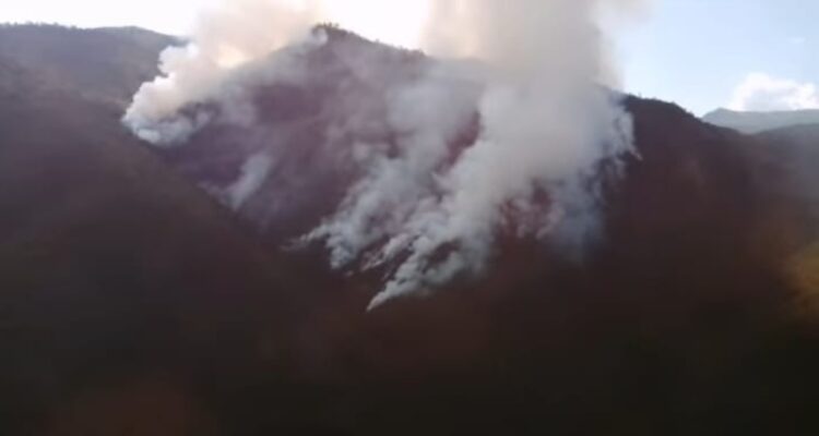 Incendio forestal en Lonquimay