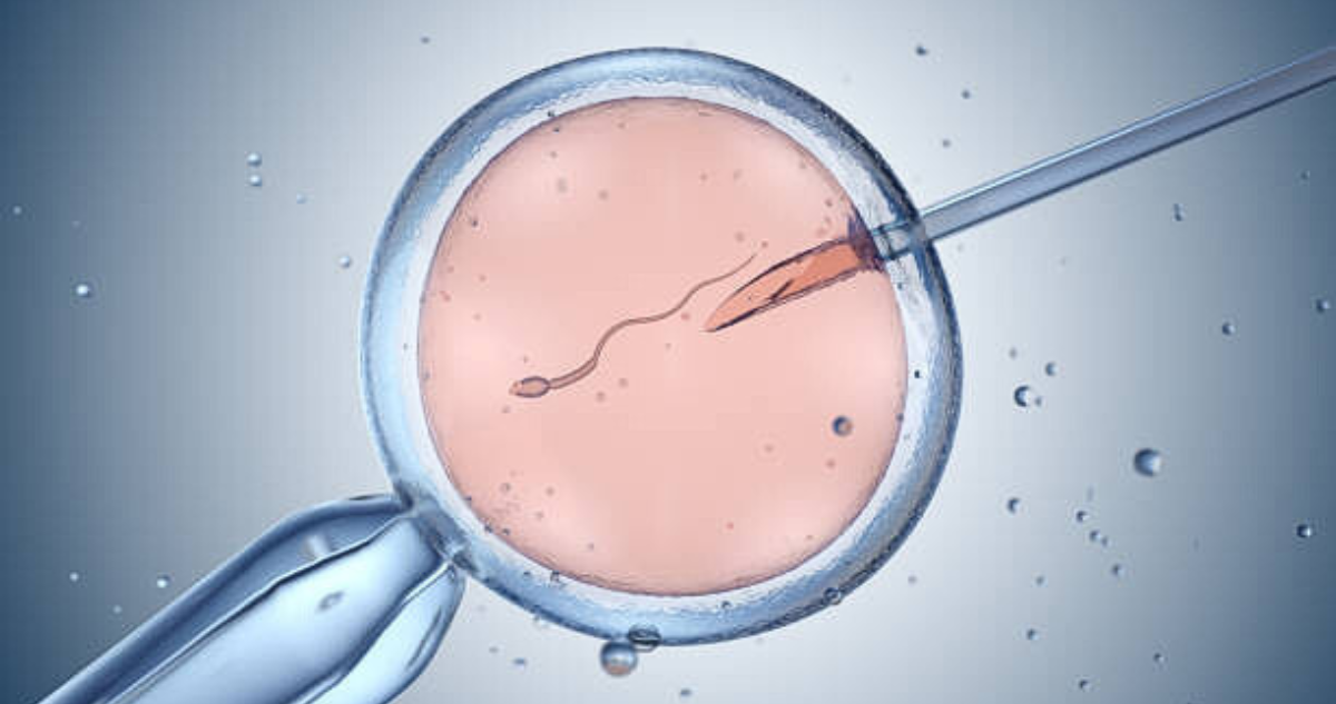 Empleado con enfermedad genética de clínica de fertilidad neerlandesa concibió hijos 11 con su esperma