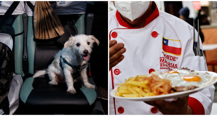 IPC varió -0,5% y da alivio al bolsillo: bajan papas y gasolina, sube comer fuera y trasladarse en bus