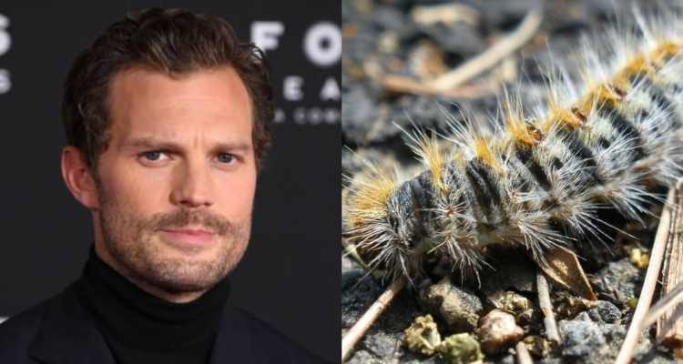 Getty Images | National Geographic 