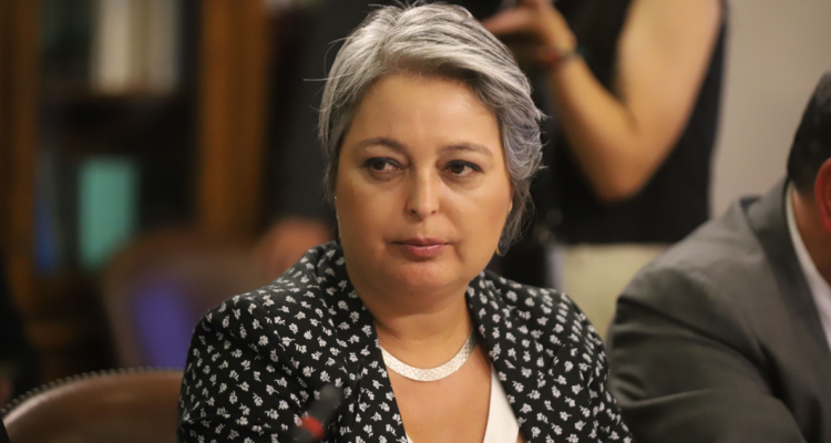 jara reforma de pensiones