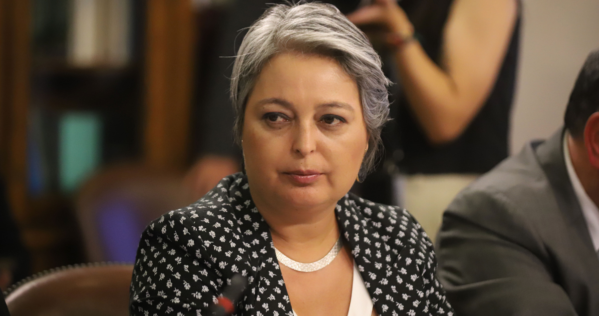 jara reforma de pensiones