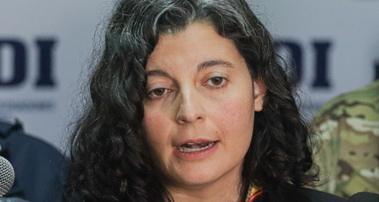 Imagen de contexto de la delegada Daniela Dresdner.