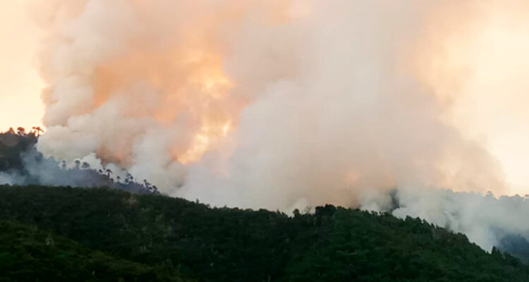 La Araucanía: en Alerta Roja se mantiene Lonquimay por tres incendios forestales provocados por rayos