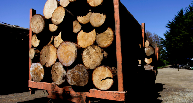 Penas de libertad vigilada para banda dedicada al robo de madera