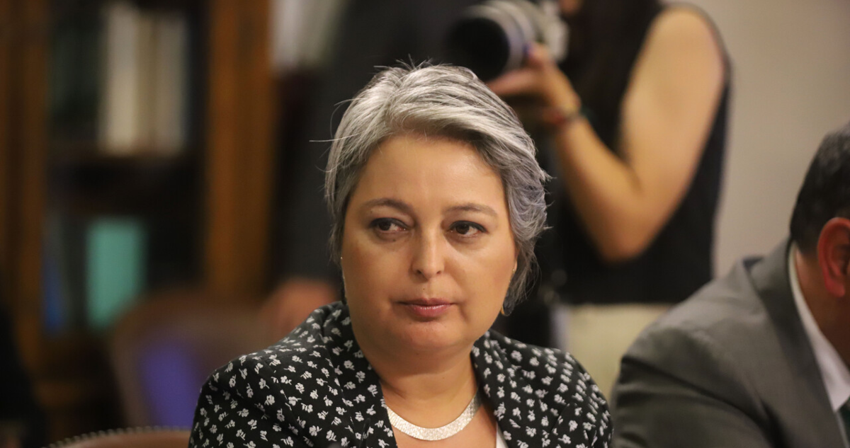 jara diputados udi