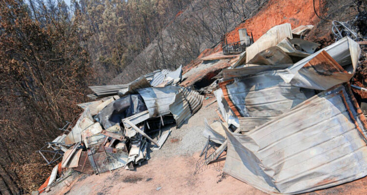 Nacimiento y Santa Juana preparan acciones legales por mortales incendios forestales de 2023