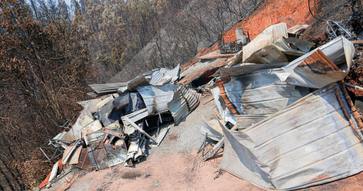 Nacimiento y Santa Juana preparan acciones legales por mortales incendios forestales de 2023