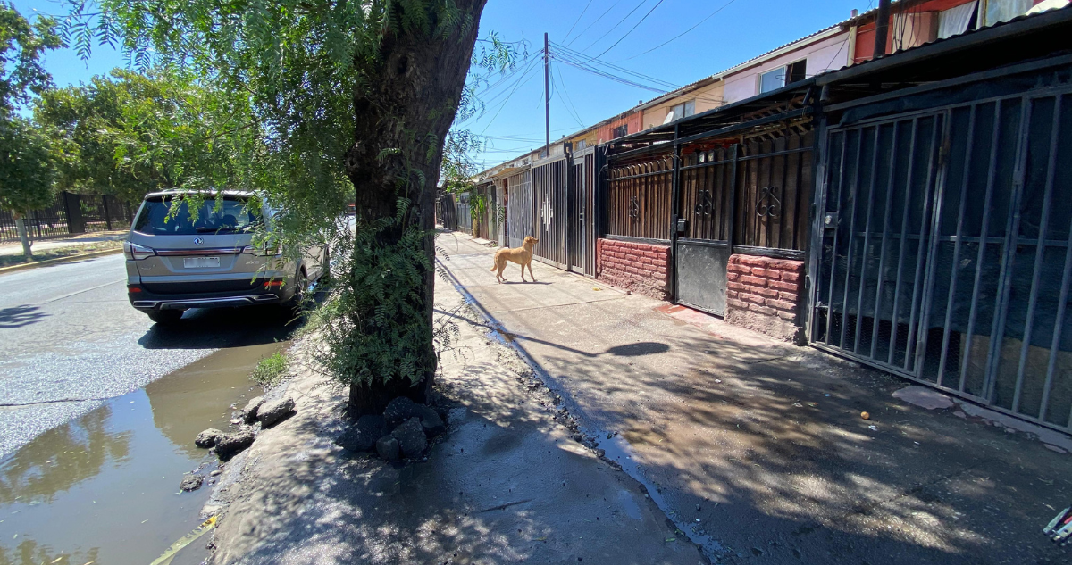 Nuevo asesinato queda al descubierto en la RM