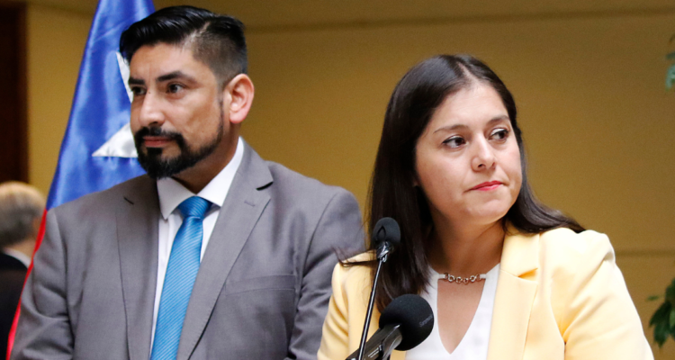 Reforma previsional: diputados PDG apoyarán idea de legislar y en RN se ausentarían de votación