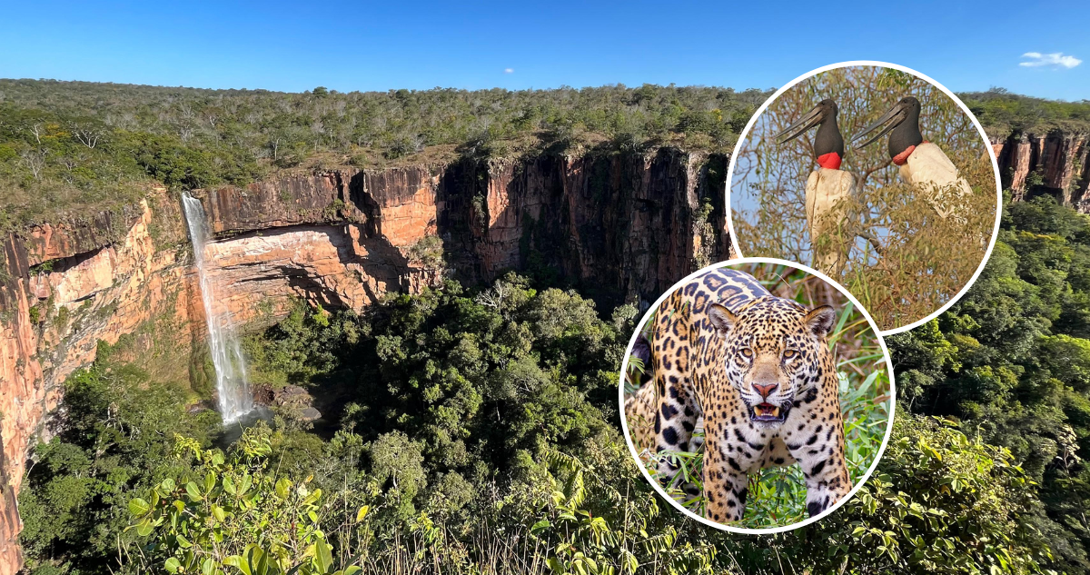 Véu de Noiva en Mato Grosso