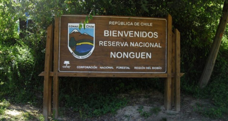 Particulares aseguran que son dueños de 100 hectáreas del Parque Nonguén en Chiguayante