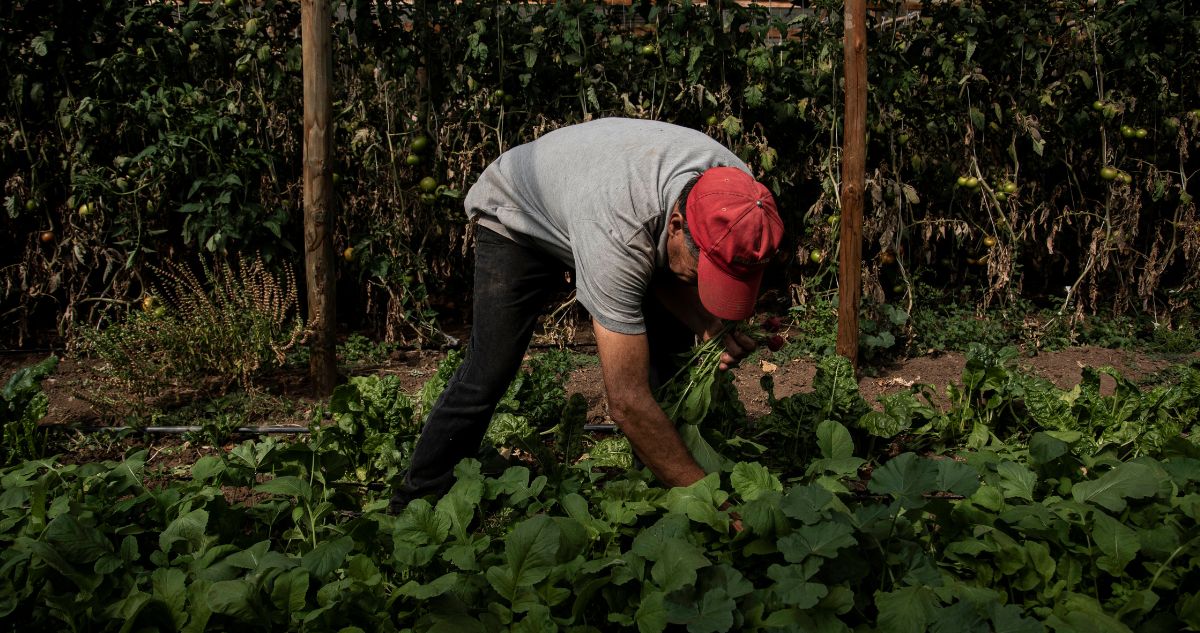 Hasta O’Higgins y Maule: RN pide extender Plan Cosecha Segura tras asesinato de agricultores en Malloa