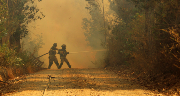 Incendios forestales en Quillón