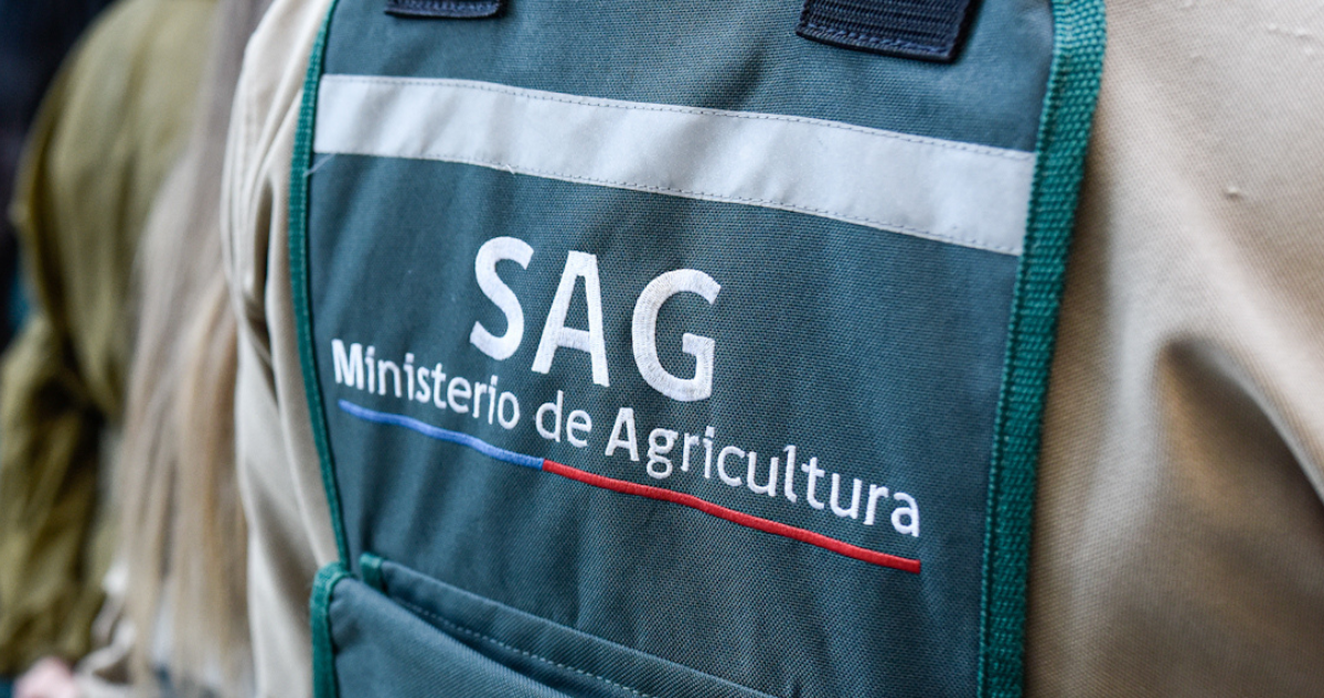 SAG influenza aviar
