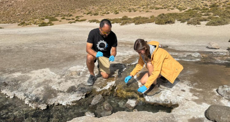 Científicos describieron el microbioma del salar de Atacama y encontraron misteriosas nuevas especies