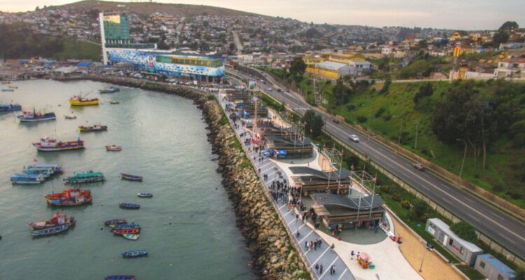 Falta de documentación provoca fracaso de licitación para mantenimiento de áreas verdes en San Antonio