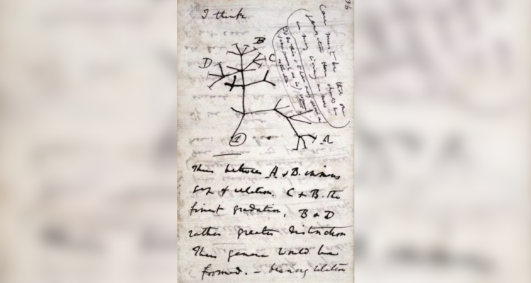 Primer diagrama de Darwin de un árbol de la evolución.