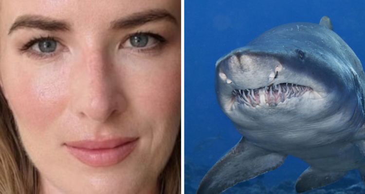Joven atacada por tiburón toro en Sydney agradece a “heroicos” vecinos y equipos médicos por ayudarla