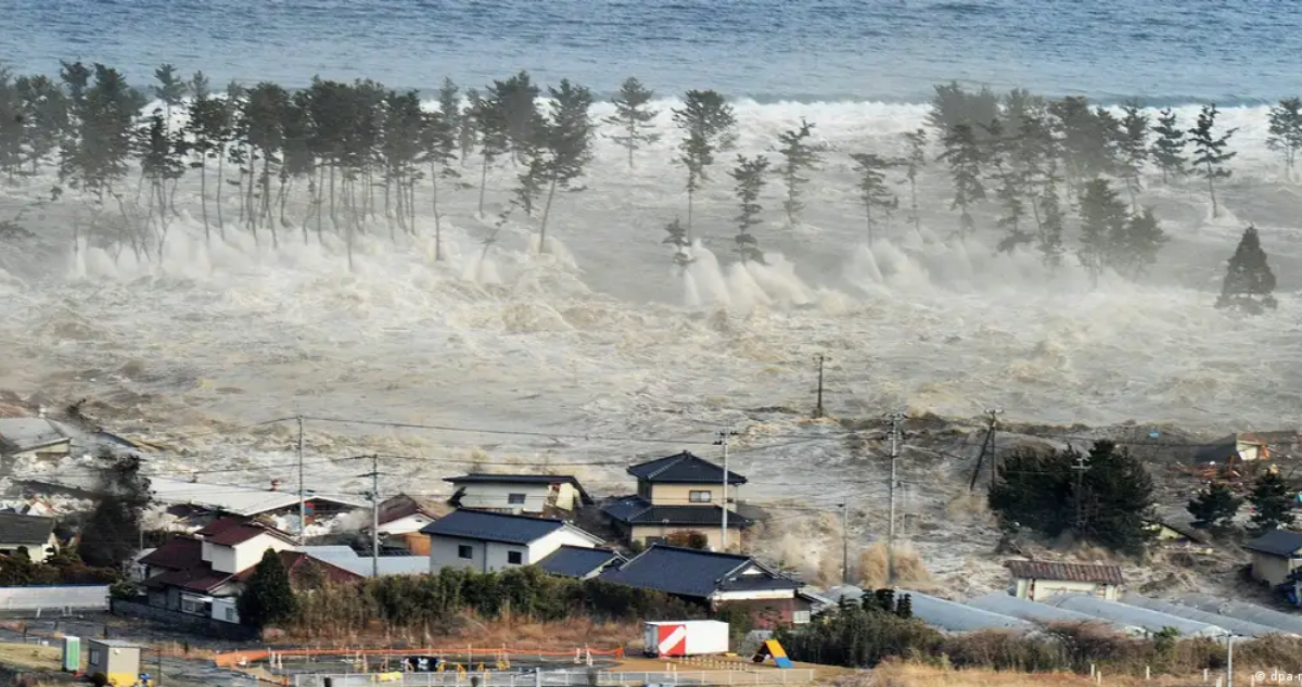 diferencia entre tsunami y maremoto