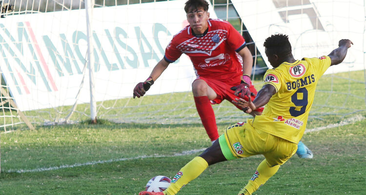 Universidad de Concepción UdeC traspaso árabe