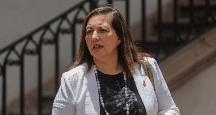 Vodanovic explica respaldo a Espinoza por demanda de Jackson: “Su defensa tiene que ser personal”