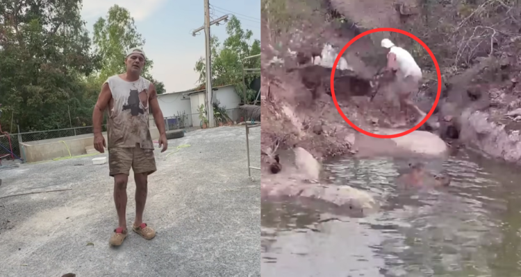 Frank Cuesta de Wild Frank tras ser atacado por ciervo