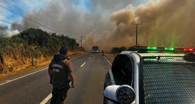 Activan Alerta Roja en Nueva Imperial y Ercilla por incendios forestales