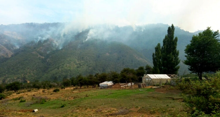 Alarma en Lonquimay por incendio forestal que arrasa bosque nativo y amenaza viviendas