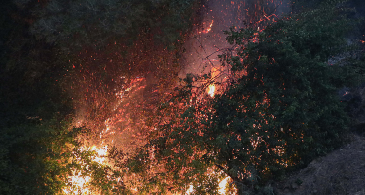 Alerta Roja en Collipulli por incendio forestal