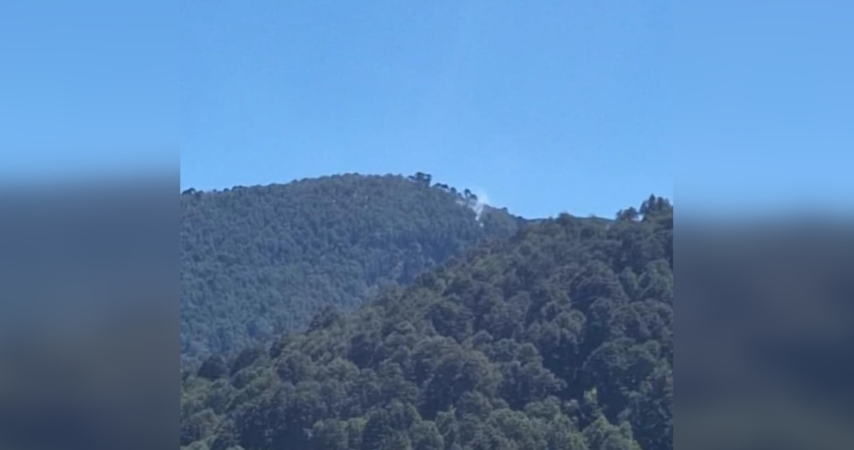 Alerta Roja en La Araucanía por incendios forestales